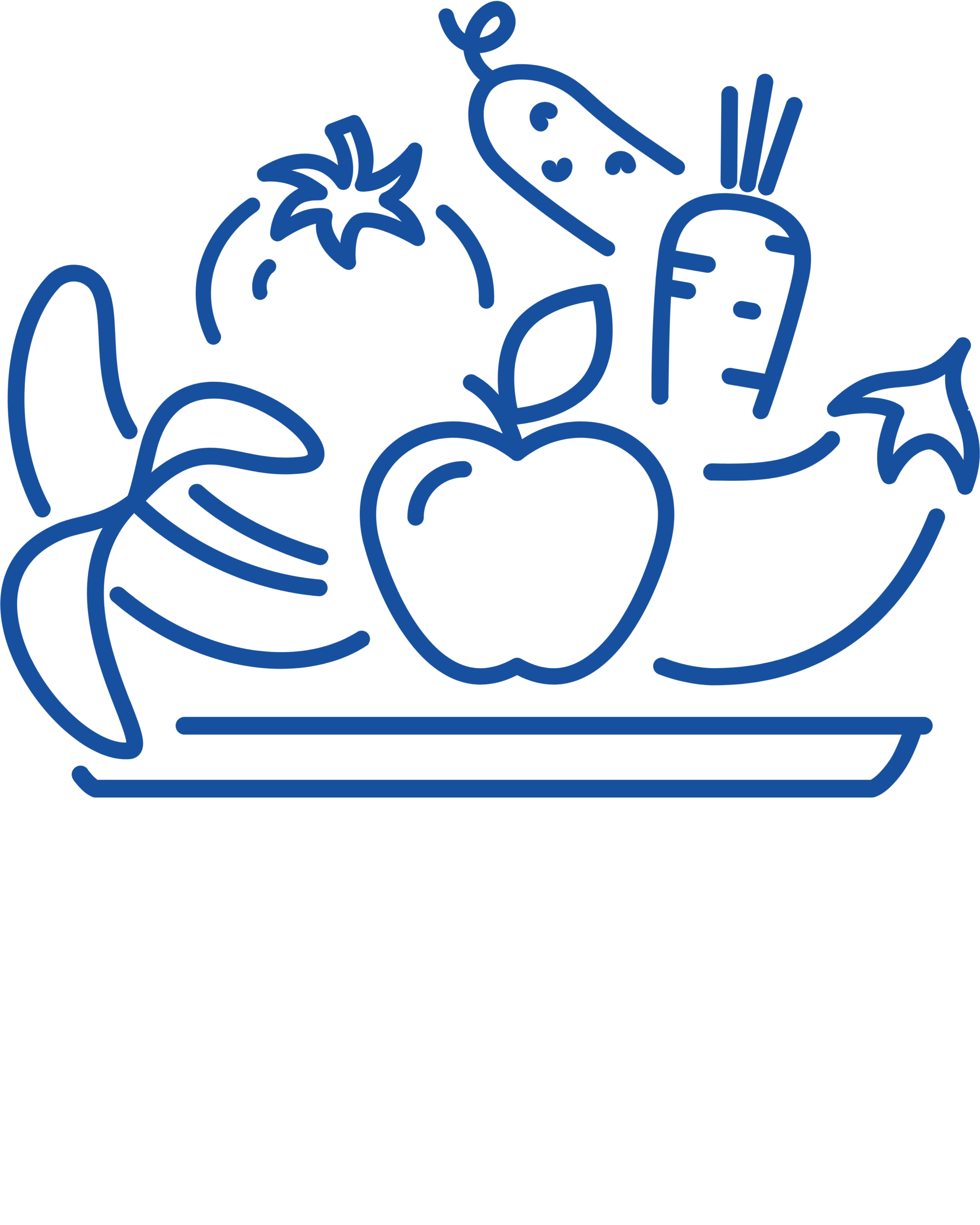 a bowl of fruits and veggies