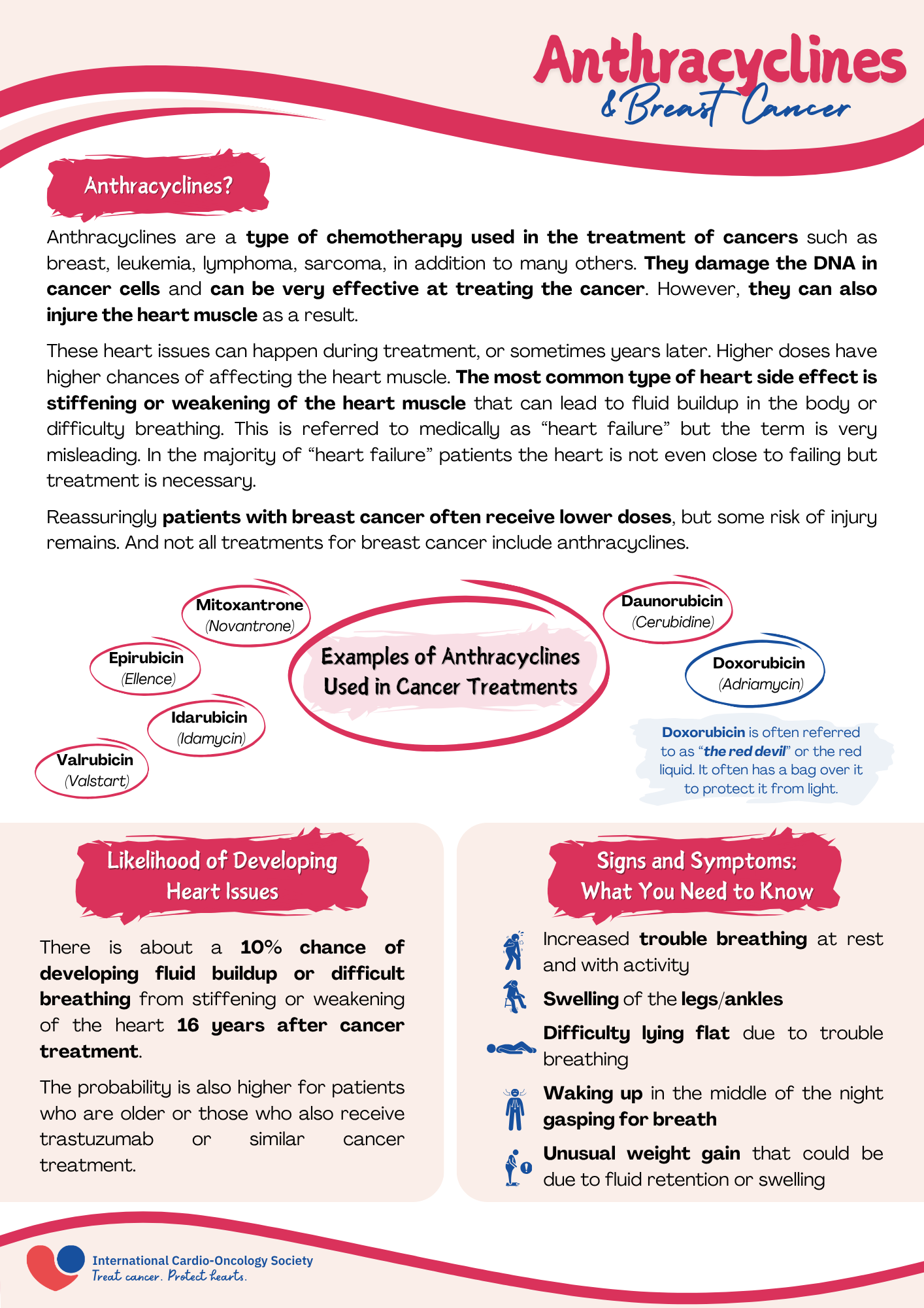 Snapshot of the Anthracyclines handout