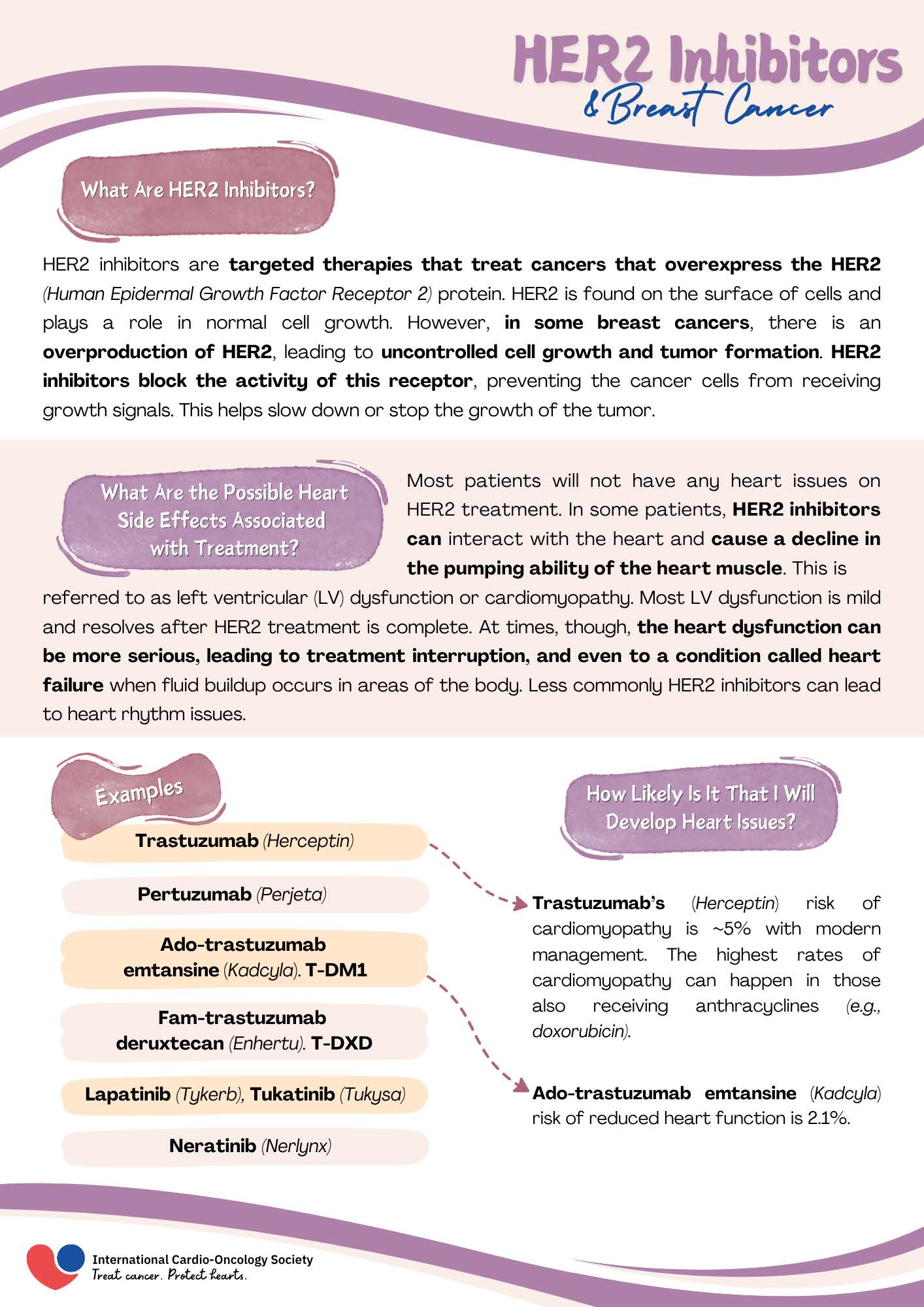 Snapshot of the HER2 Inhibitor Handout