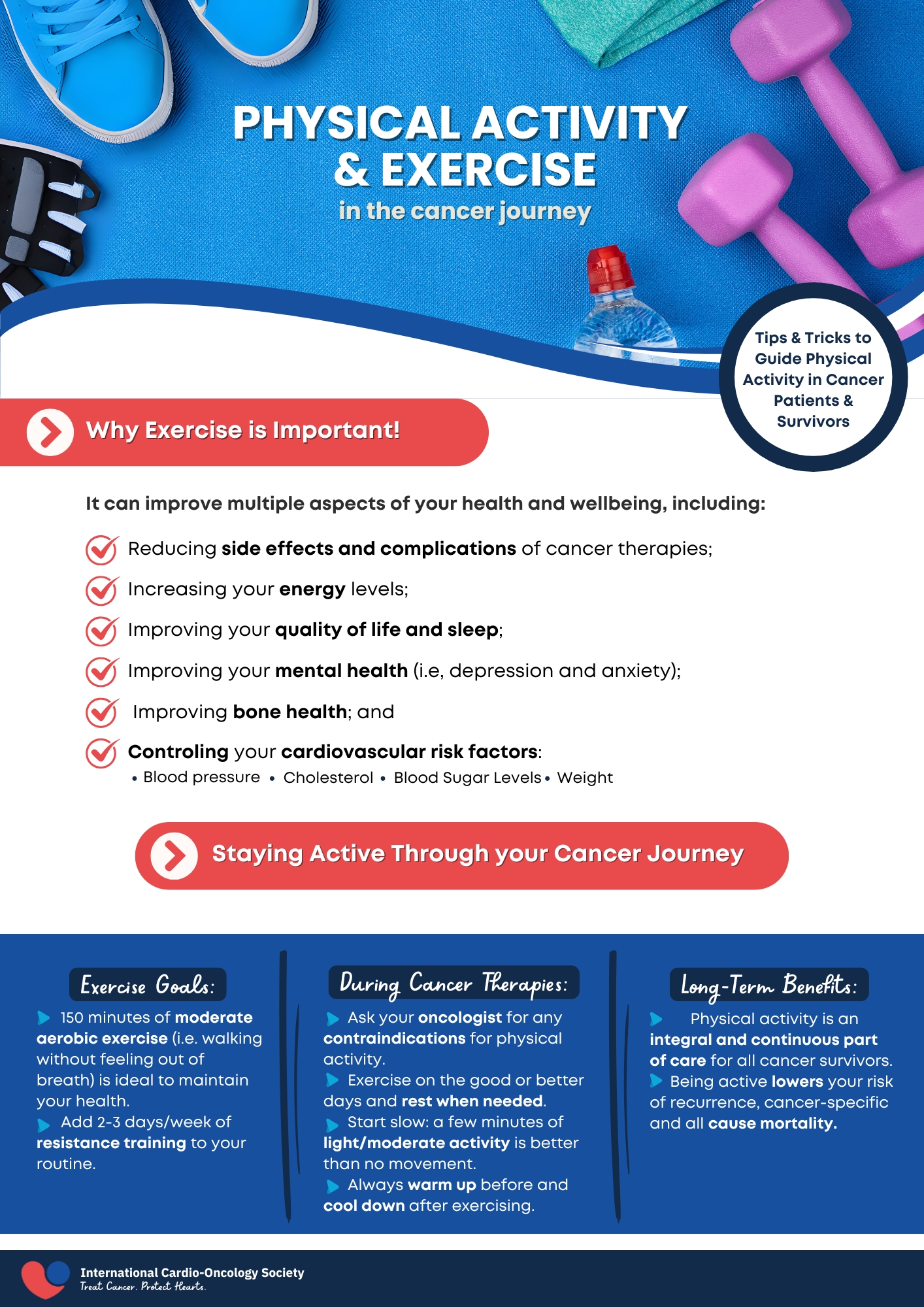 A snapshot of the Physical Activity Exercise Handout